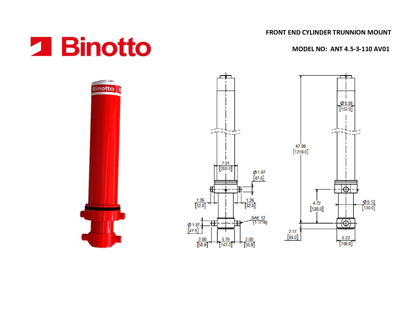 B3C 4.5-3-110-AV01 Binotto SAT Telescopic Cylinder